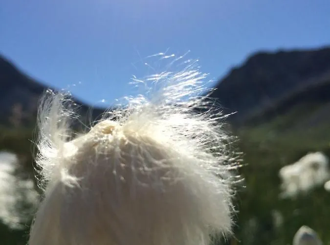 Appartamento Sternenhimmel Arosa