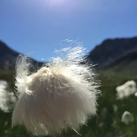 Apartament Sternenhimmel Arosa
